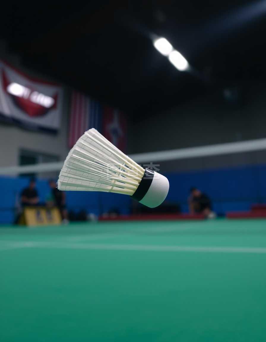 女友却跟了 女友却跟了